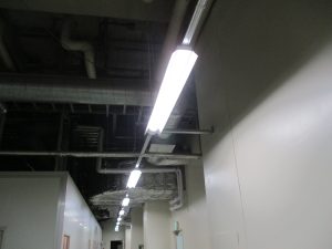 クリーンルーム、他共用部LED化更新工事